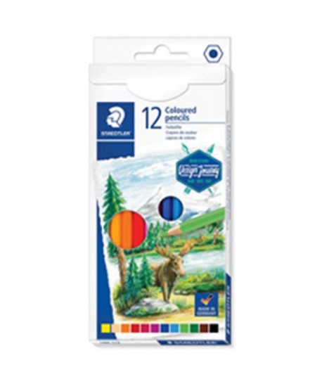 PASTELLI STAEDTLER 146 12PZ 146C C12