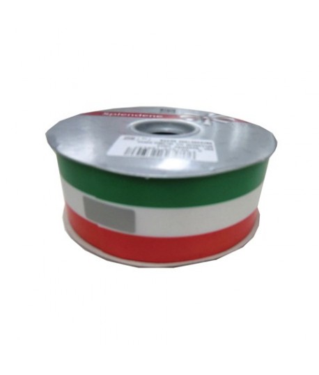 NASTRO REG BO36472 MM48*100MT TRICOLORE