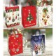 BORSETTE XMAS 1 36*41 73235 25PZ