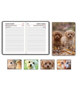 AGENDA GIORN.7X10 CB CD SWEETY 115UN