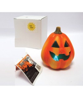 ZUCCA C/LUCE E FACCIA D9X10H 08624