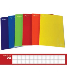 MAXI QUADERNO IN COLOR 100GR 19FF Q