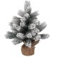 PINETTO INNEVATO C/SACCO CM30 637653