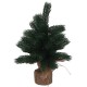 PINETTO VERDE C/SACCO CM30 637656