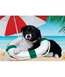 CLEMENTONI 25741 PZL.104PZ CANE AL MARE