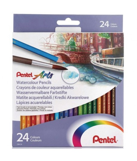 PASTELLI ACQUARELLABILI PENTEL 24PZ