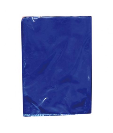 BUSTA STAGNOLA 40X60 BLU 25PZ