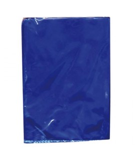 BUSTA STAGNOLA 70X100 BLU 25 PZ