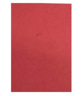 CARTA LETTERE NATURE A4 ROSSO 10P