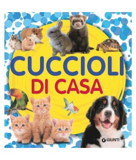 CUCCIOLI DI CASA GIUNTI 75160U