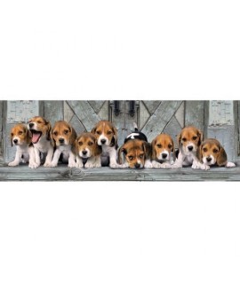 CLEMENTONI 35085 PZL 1000 CANI BEAGLES