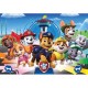 CLEMENTONI 29105 PZL 180 PAW PATROL