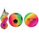 GLOBO 40480 PALLE COLOR CM.13 2PZ 120GR