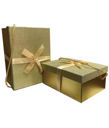 SET SCATOLE GIFT&GO ORO 2PZ 18626